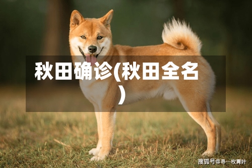 秋田确诊(秋田全名)-第2张图片