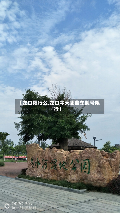 【龙口限行么,龙口今天哪些车牌号限行】