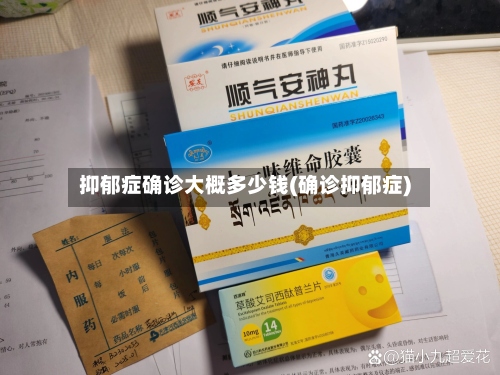 抑郁症确诊大概多少钱(确诊抑郁症)