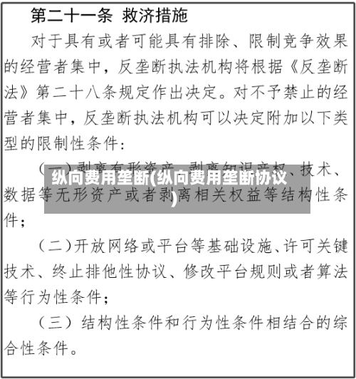 纵向费用垄断(纵向费用垄断协议)