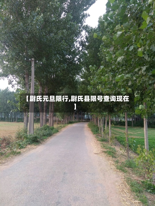 【尉氏元旦限行,尉氏县限号查询现在】-第2张图片