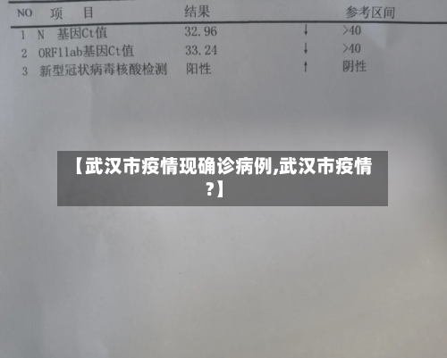 【武汉市疫情现确诊病例,武汉市疫情?】-第3张图片
