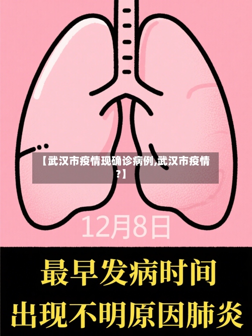 【武汉市疫情现确诊病例,武汉市疫情?】-第2张图片