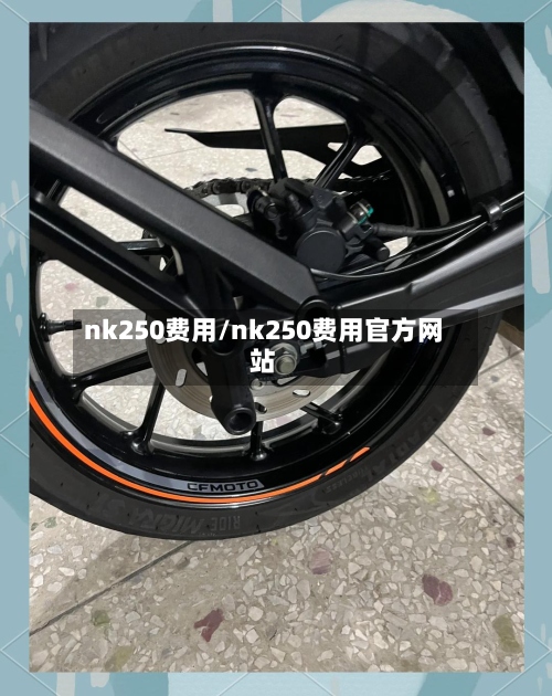 nk250费用/nk250费用官方网站-第2张图片