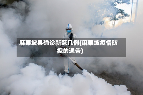 麻栗坡县确诊新冠几例(麻栗坡疫情防控的通告)-第2张图片