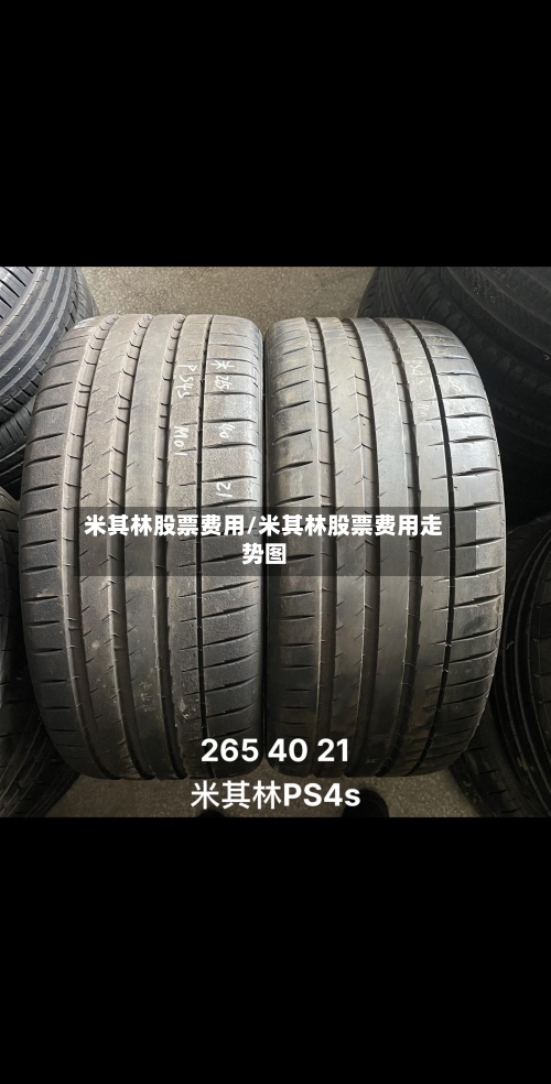 米其林股票费用/米其林股票费用走势图-第3张图片
