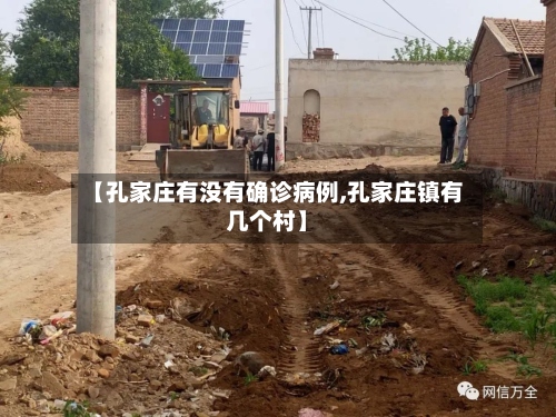 【孔家庄有没有确诊病例,孔家庄镇有几个村】-第2张图片