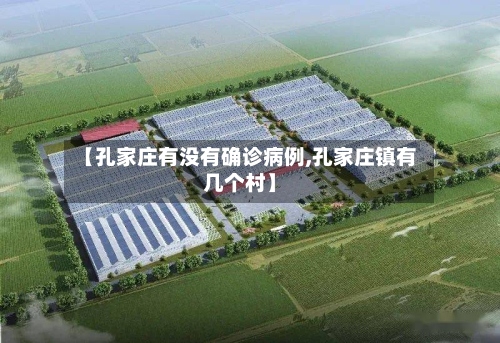 【孔家庄有没有确诊病例,孔家庄镇有几个村】-第3张图片