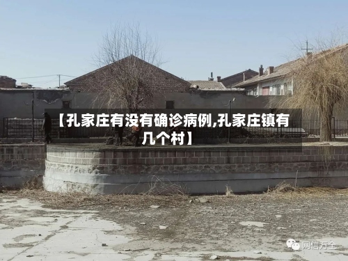 【孔家庄有没有确诊病例,孔家庄镇有几个村】