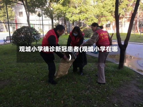观城小学确诊新冠患者(观城小学在哪)-第2张图片