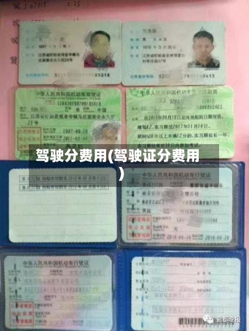 驾驶分费用(驾驶证分费用)