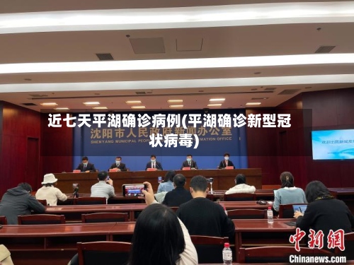 近七天平湖确诊病例(平湖确诊新型冠状病毒)-第2张图片