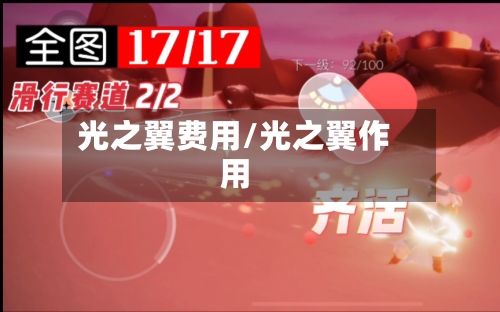 光之翼费用/光之翼作用