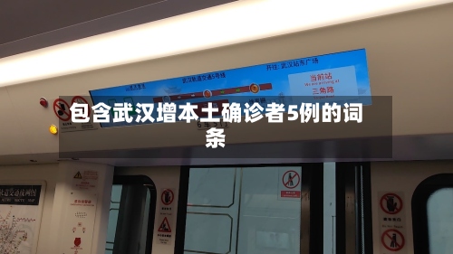 包含武汉增本土确诊者5例的词条