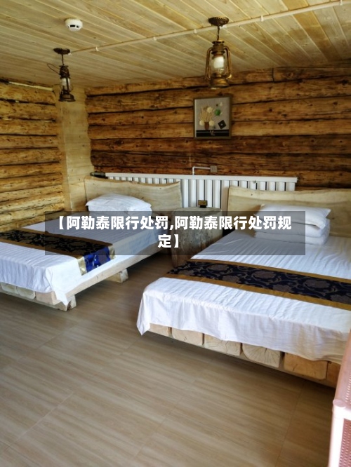 【阿勒泰限行处罚,阿勒泰限行处罚规定】-第2张图片