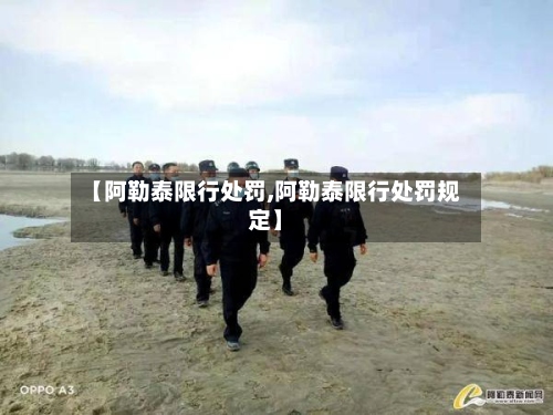 【阿勒泰限行处罚,阿勒泰限行处罚规定】