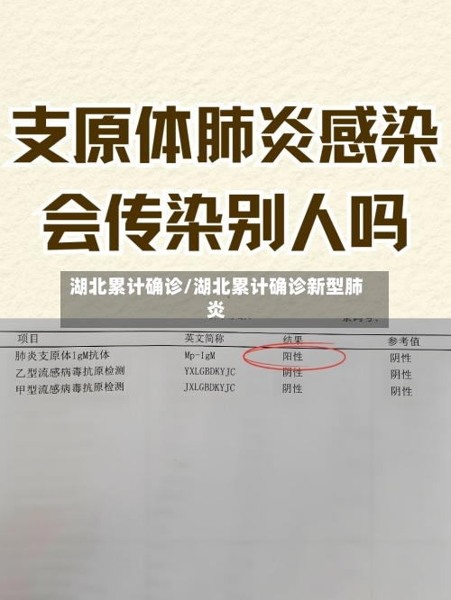 湖北累计确诊/湖北累计确诊新型肺炎
