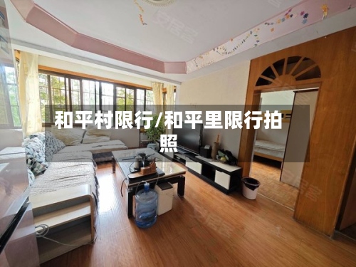 和平村限行/和平里限行拍照-第2张图片