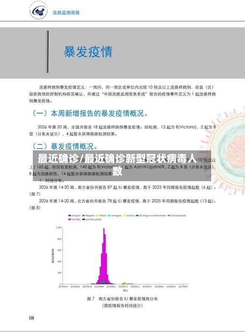 最近确诊/最近确诊新型冠状病毒人数-第2张图片