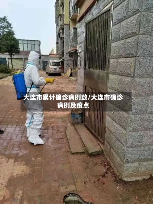 大连市累计确诊病例数/大连市确诊病例及疫点-第3张图片