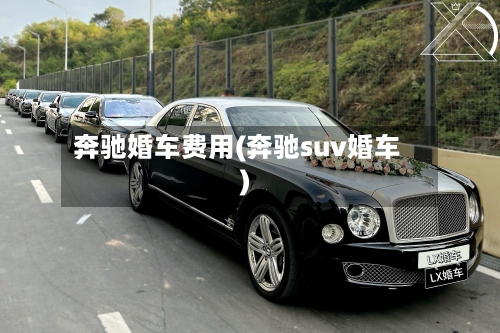 奔驰婚车费用(奔驰suv婚车)-第2张图片