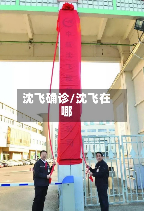 沈飞确诊/沈飞在哪-第2张图片