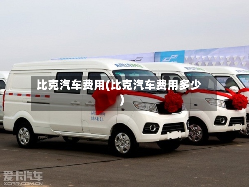 比克汽车费用(比克汽车费用多少)