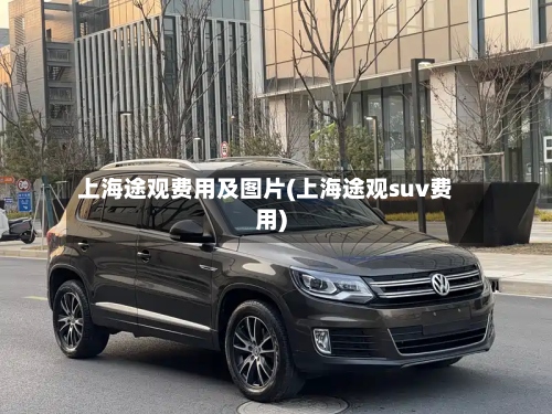 上海途观费用及图片(上海途观suv费用)-第2张图片