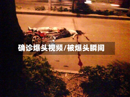 确诊爆头视频/被爆头瞬间-第2张图片