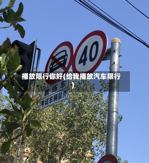 播放限行你好(给我播放汽车限行)-第2张图片
