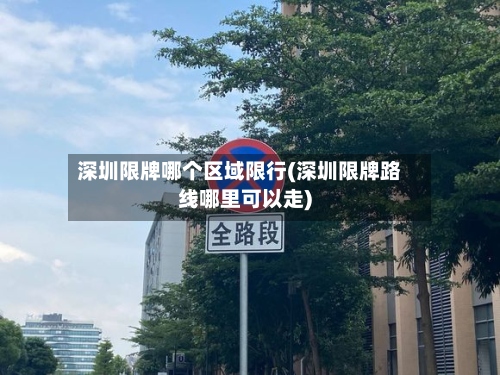 深圳限牌哪个区域限行(深圳限牌路线哪里可以走)