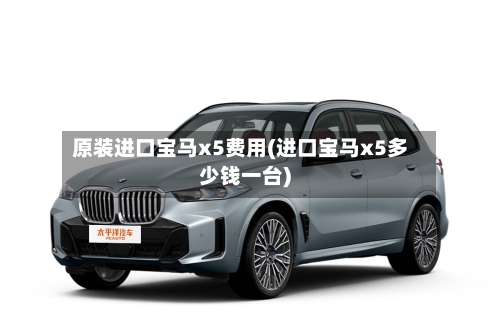 原装进口宝马x5费用(进口宝马x5多少钱一台)
