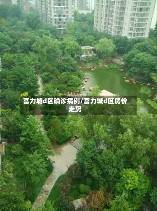 富力城d区确诊病例/富力城d区房价走势