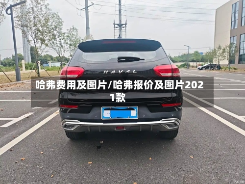 哈弗费用及图片/哈弗报价及图片2021款-第2张图片