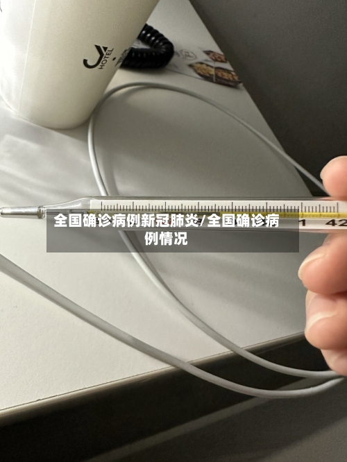 全国确诊病例新冠肺炎/全国确诊病例情况-第3张图片