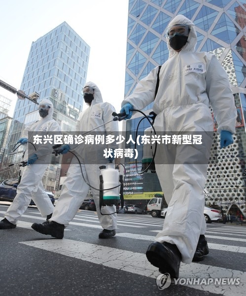 东兴区确诊病例多少人(东兴市新型冠状病毒)