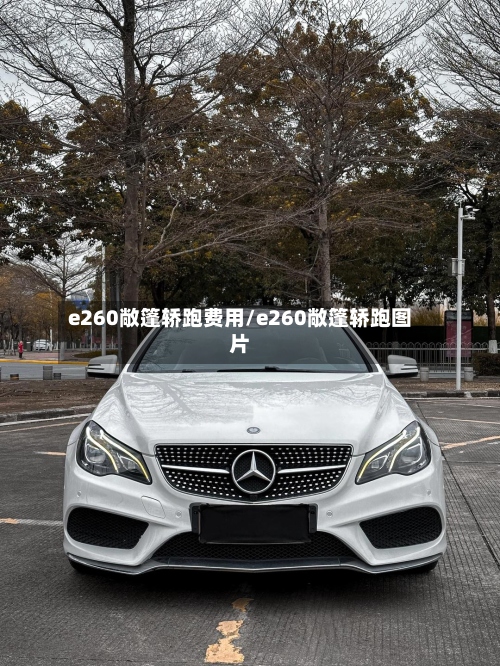 e260敞篷轿跑费用/e260敞篷轿跑图片-第2张图片