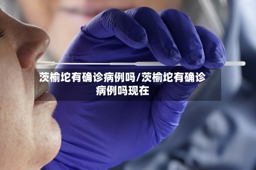 茨榆坨有确诊病例吗/茨榆坨有确诊病例吗现在