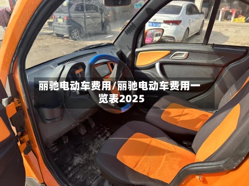 丽驰电动车费用/丽驰电动车费用一览表2025