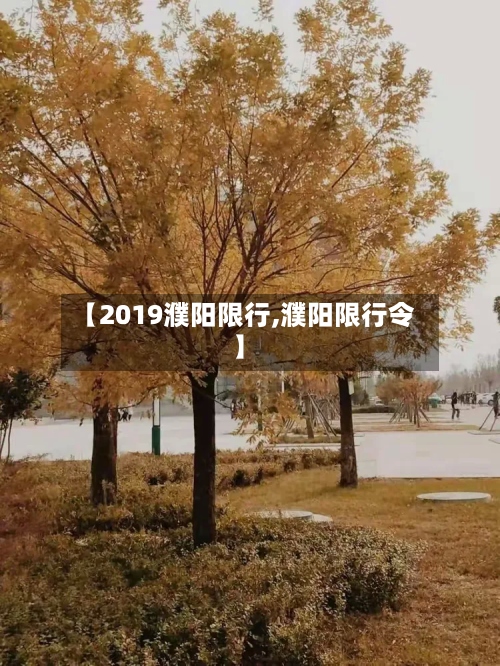 【2019濮阳限行,濮阳限行令】