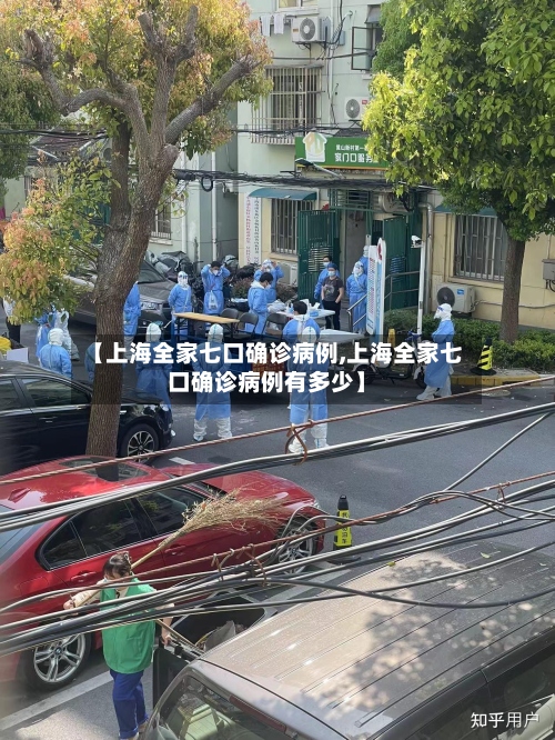 【上海全家七口确诊病例,上海全家七口确诊病例有多少】-第3张图片