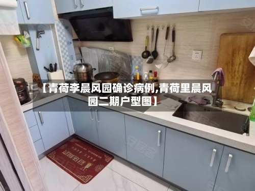 【青荷李晨风园确诊病例,青荷里晨风园二期户型图】-第2张图片