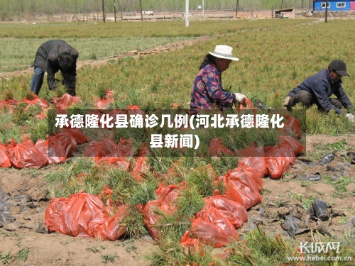 承德隆化县确诊几例(河北承德隆化县新闻)