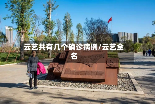 云艺共有几个确诊病例/云艺全名