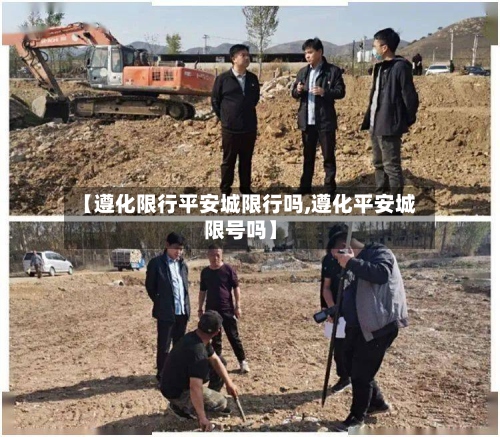 【遵化限行平安城限行吗,遵化平安城限号吗】-第3张图片