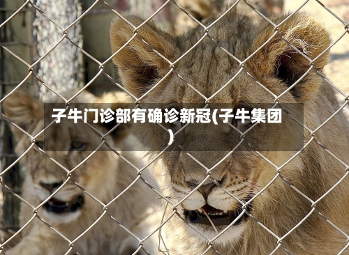 子牛门诊部有确诊新冠(子牛集团)