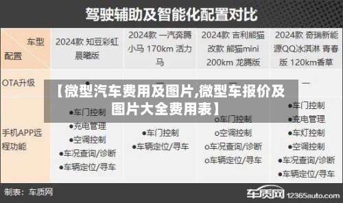 【微型汽车费用及图片,微型车报价及图片大全费用表】-第2张图片