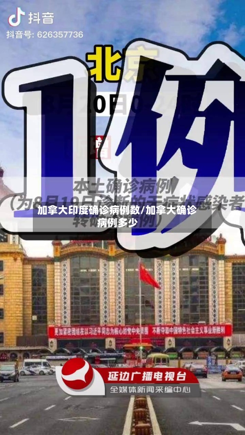 加拿大印度确诊病例数/加拿大确诊病例多少