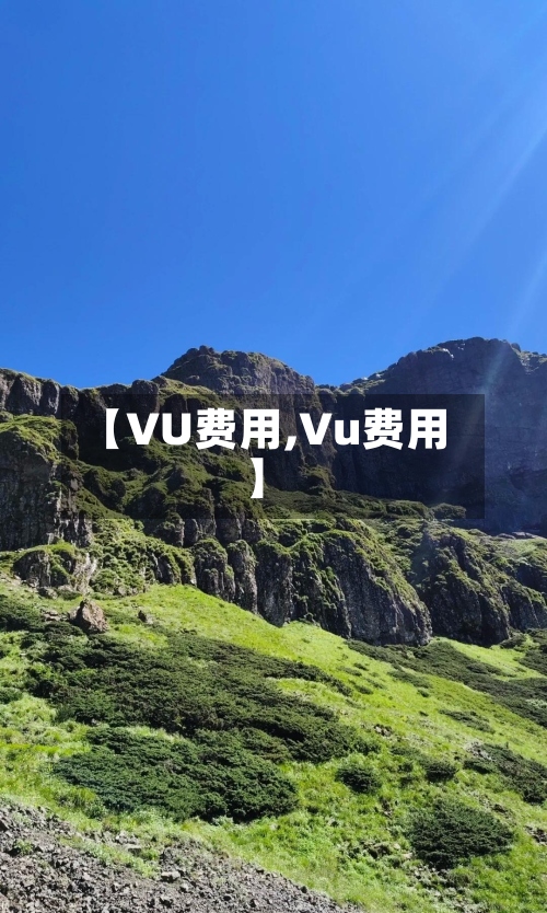 【VU费用,Vu费用】