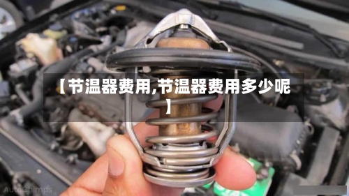 【节温器费用,节温器费用多少呢】-第3张图片